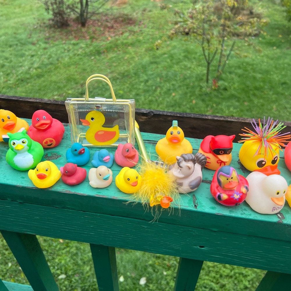 Colorful Rubber Duck Collection - Picture 3 of 10